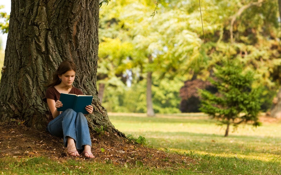 A girl reading a book beneath a leafy tree.
