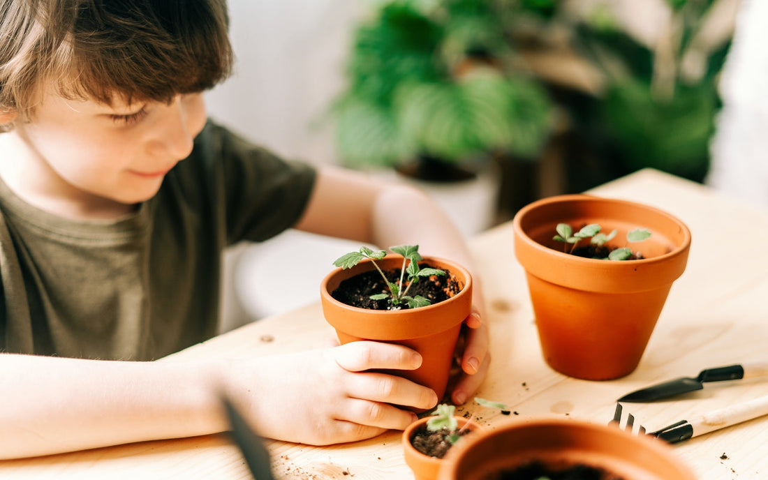 A child holds a small pot of seedlings at a gardening table.